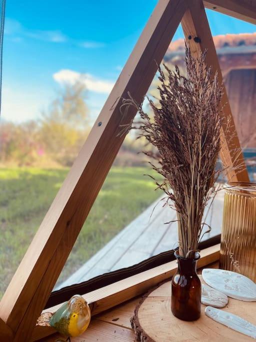 Dome Insolite Cedre Jacuzzi Et Petits Dejeuners Inclus Lagraulet-du-Gers Exterior foto